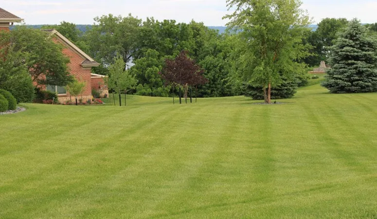Local lawn care service in Hazel Green, WI by Green Escapes Lawn & Landscape
