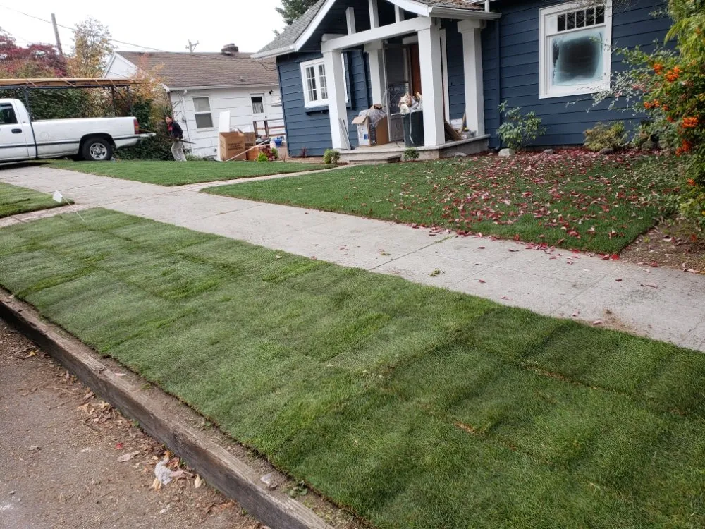 Top-rated yard cleanup service for residential properties across Hutchinson, KS - Green Escapes Lawn Care