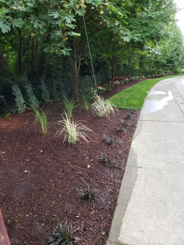 Custom lawn mowing service for homes in Hutchinson, KS by Green Escapes Lawn Care