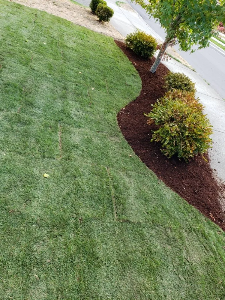 Custom outdoor landscaping in Hutchinson, KS by Green Escapes Lawn Care
