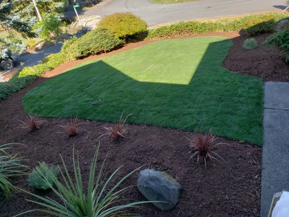 Reliable yard cleanup service in Hutchinson, KS - Green Escapes Lawn Care