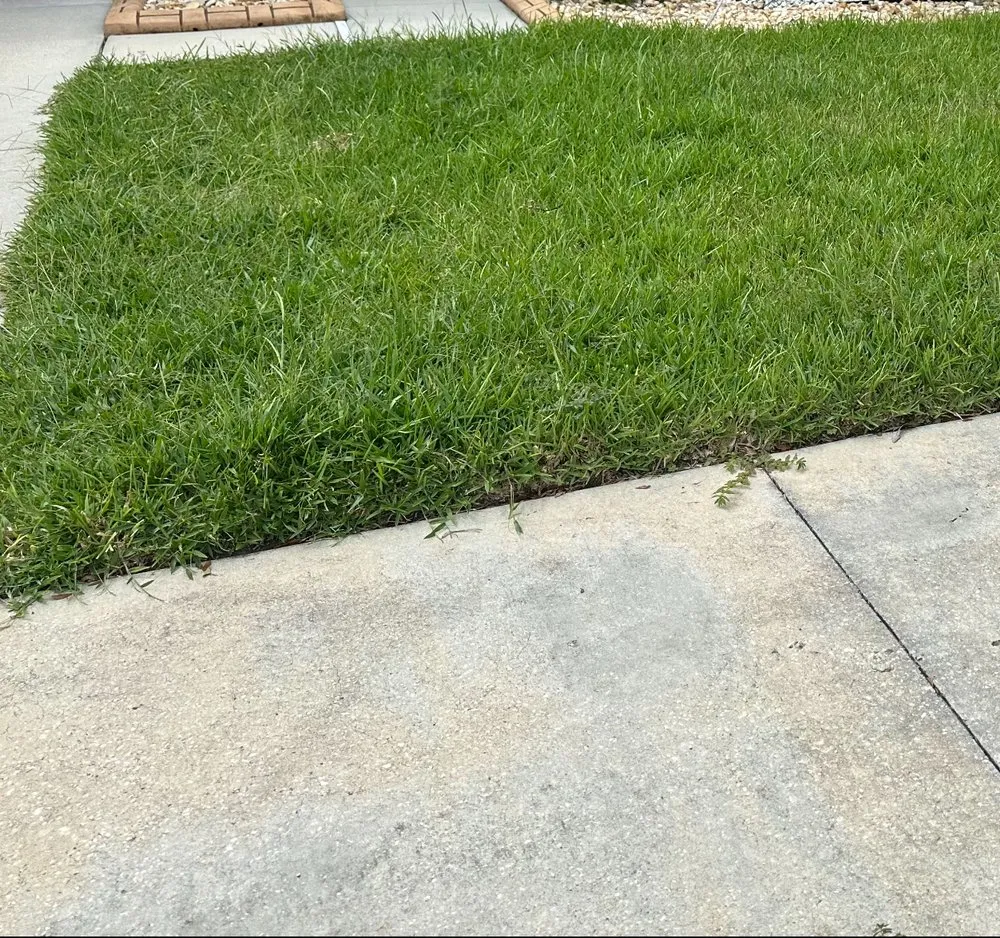 Reliable garden landscaping for homes in Riverview, FL by Green Escapes Lawn Mowing