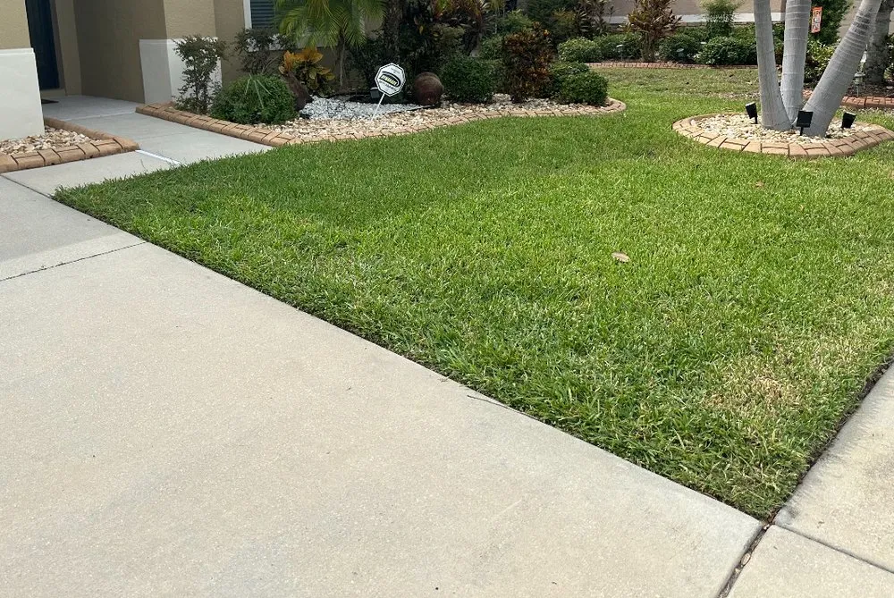 Professional landscape design with custom design across Riverview, FL - Green Escapes Lawn Mowing