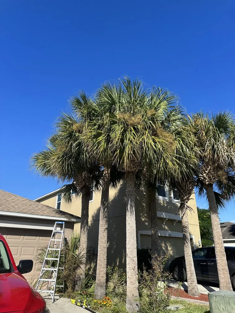 Top-rated landscaping services in Riverview, FL by Green Escapes Lawn Mowing