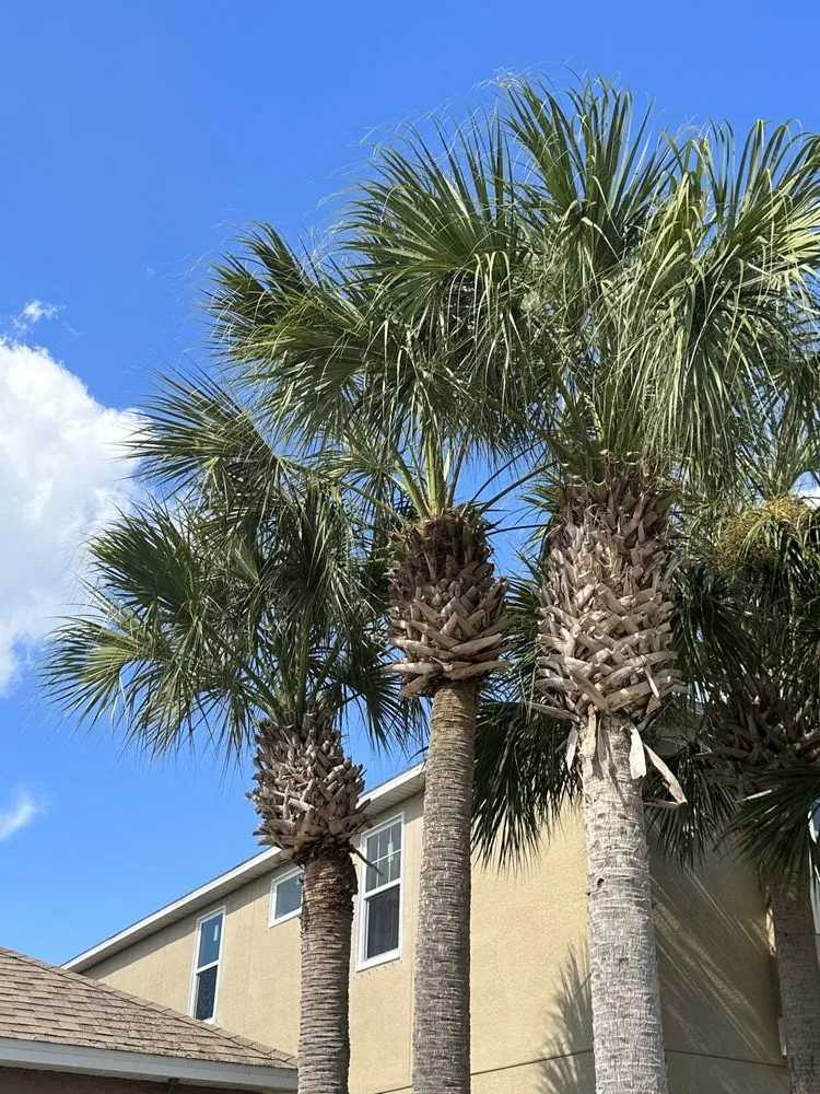 Affordable outdoor landscaping for residential properties across Riverview, FL - Green Escapes Lawn Mowing