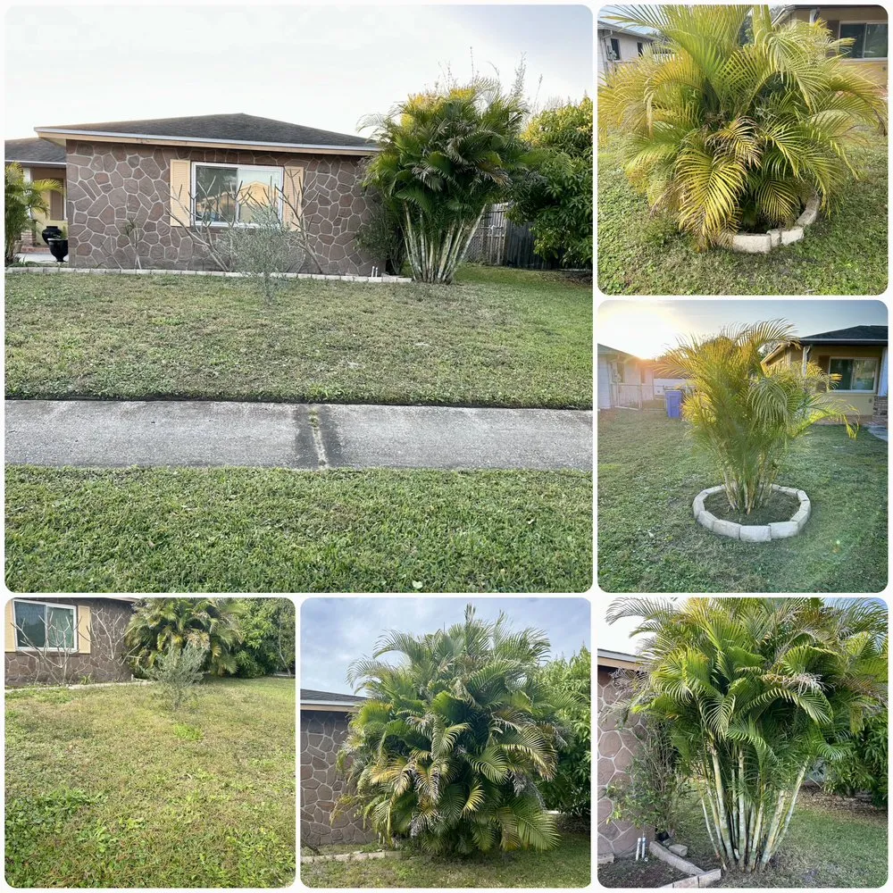 Local yard cleanup service experts serving Riverview, FL - Green Escapes Lawn Mowing