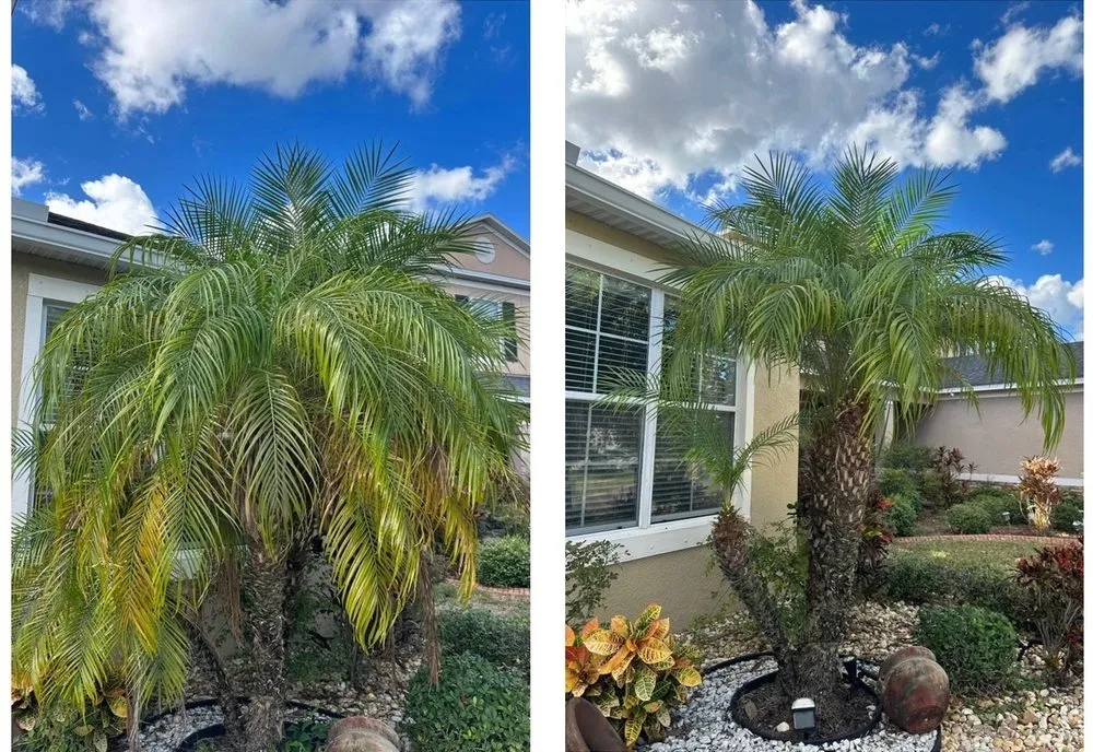 Reliable yard maintenance in Riverview, FL - Green Escapes Lawn Mowing