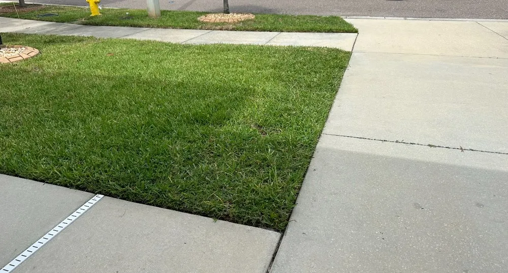 Top-rated yard cleanup service experts serving Riverview, FL - Green Escapes Lawn Mowing