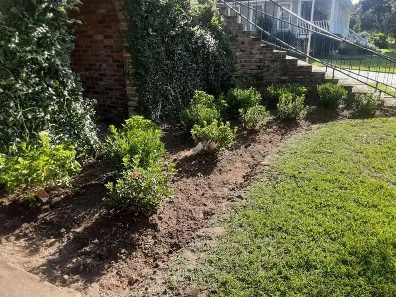 Expert lawn mowing service in Biloxi, MS - Green Escapes Lawns And Contracting Services