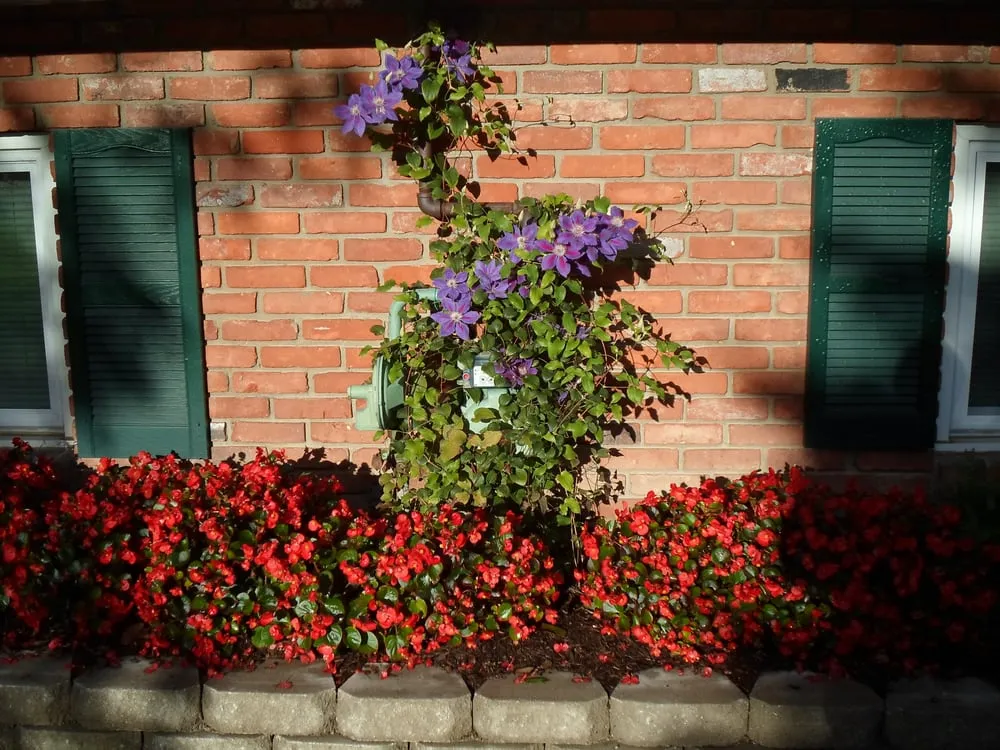 Local yard cleanup service experts serving Mantua, OH - Green Escapes