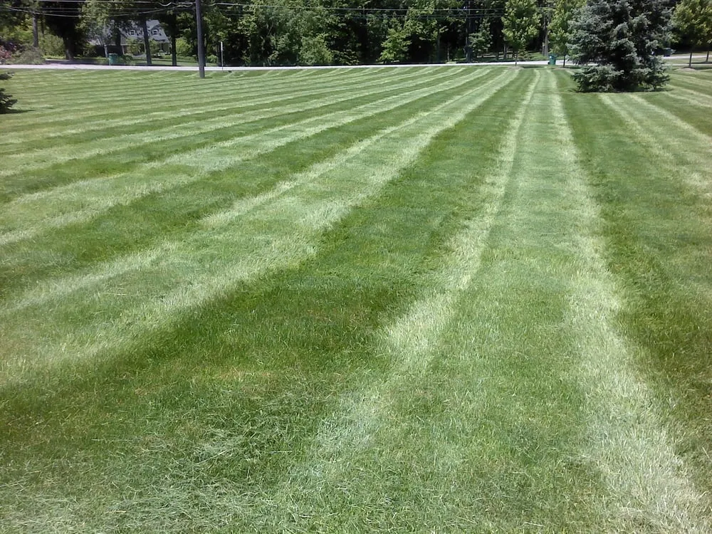 Local yard cleanup service experts serving Mantua, OH - Green Escapes