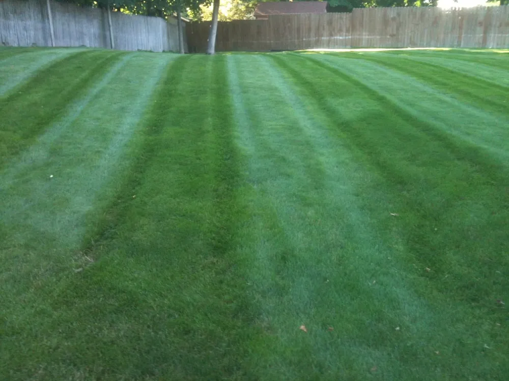 Trusted landscaping services experts serving Mantua, OH - Green Escapes