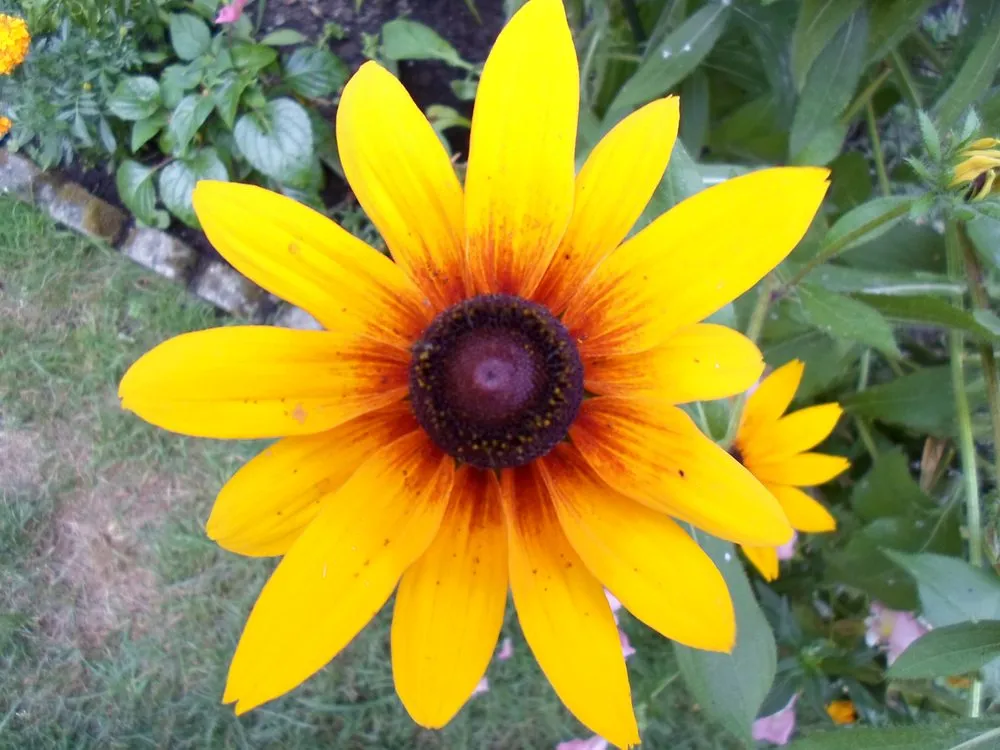 Top-rated residential landscaping near you across Mantua, OH - Green Escapes