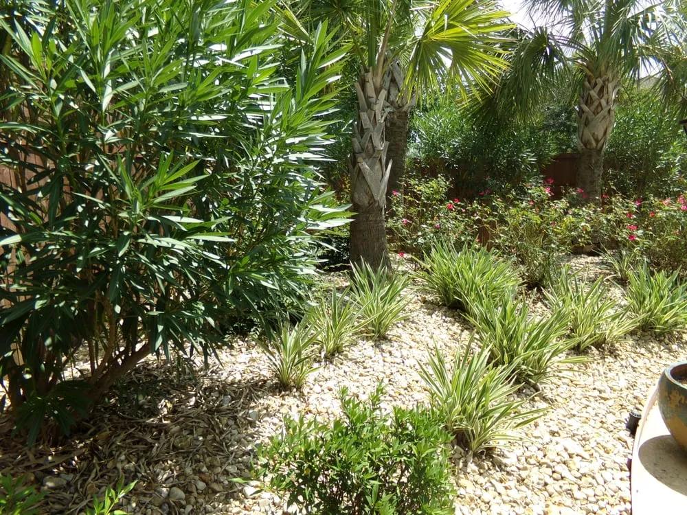 Custom landscape design experts serving Prairieville, LA - Green Escapes Nursery
