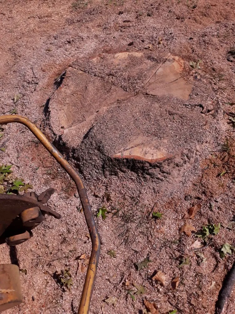 Reliable landscaping services for homes across Norman, OK - Green Essence