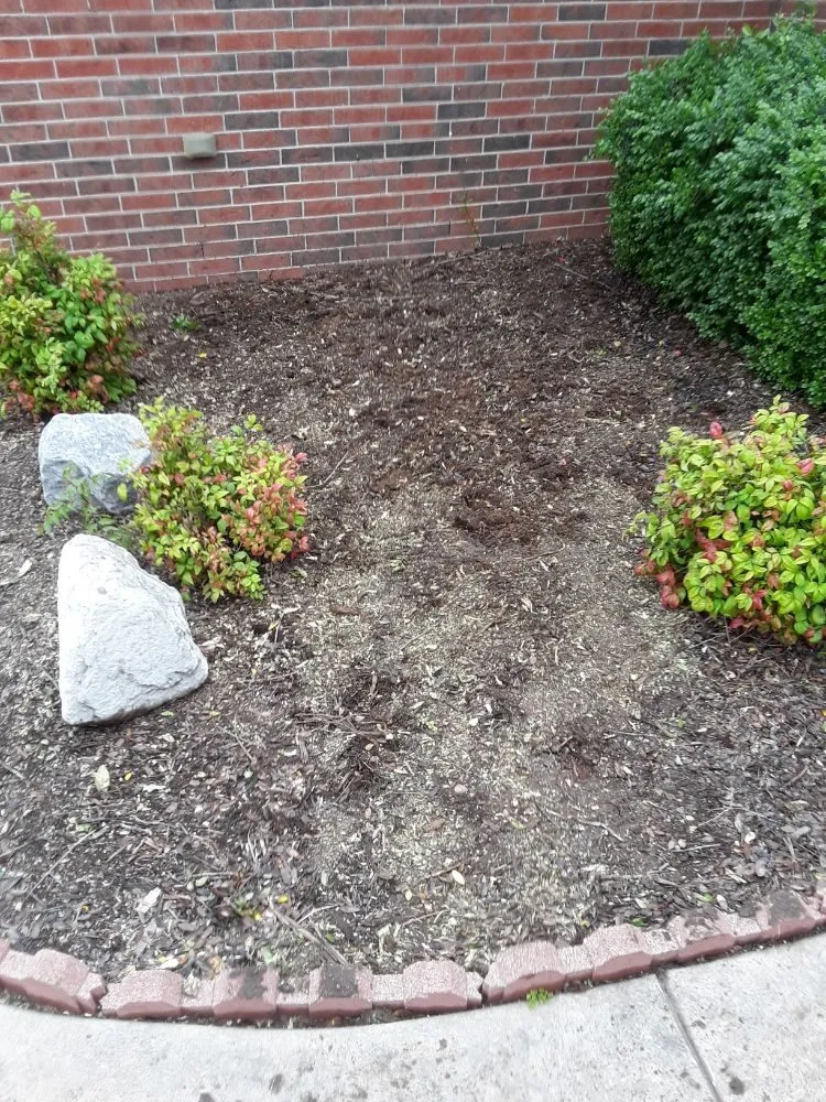 Top-rated garden landscaping in Norman, OK by Green Essence