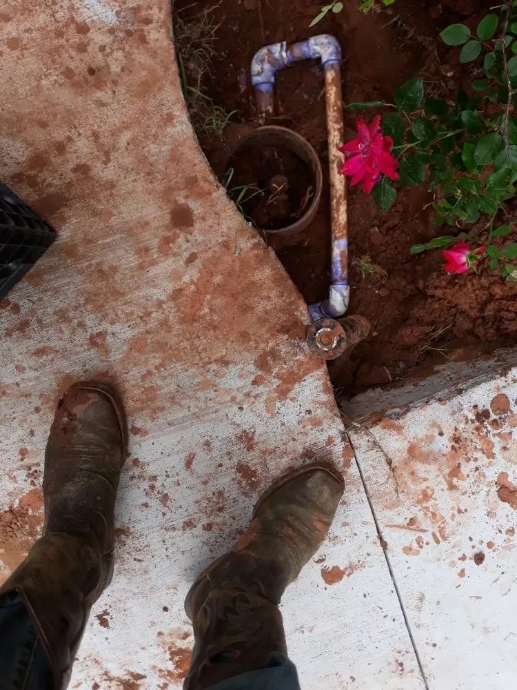 Affordable lawn care service for outdoor upgrades across Norman, OK - Green Essence