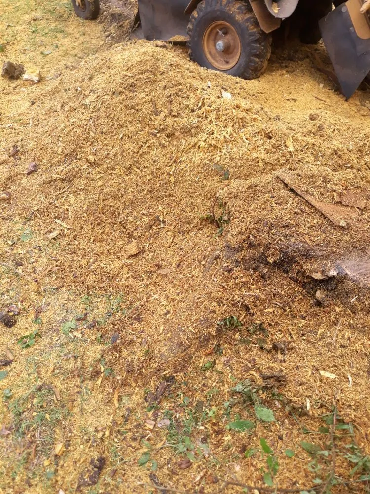 Top-rated landscape installation for year-round maintenance in Norman, OK by Green Essence