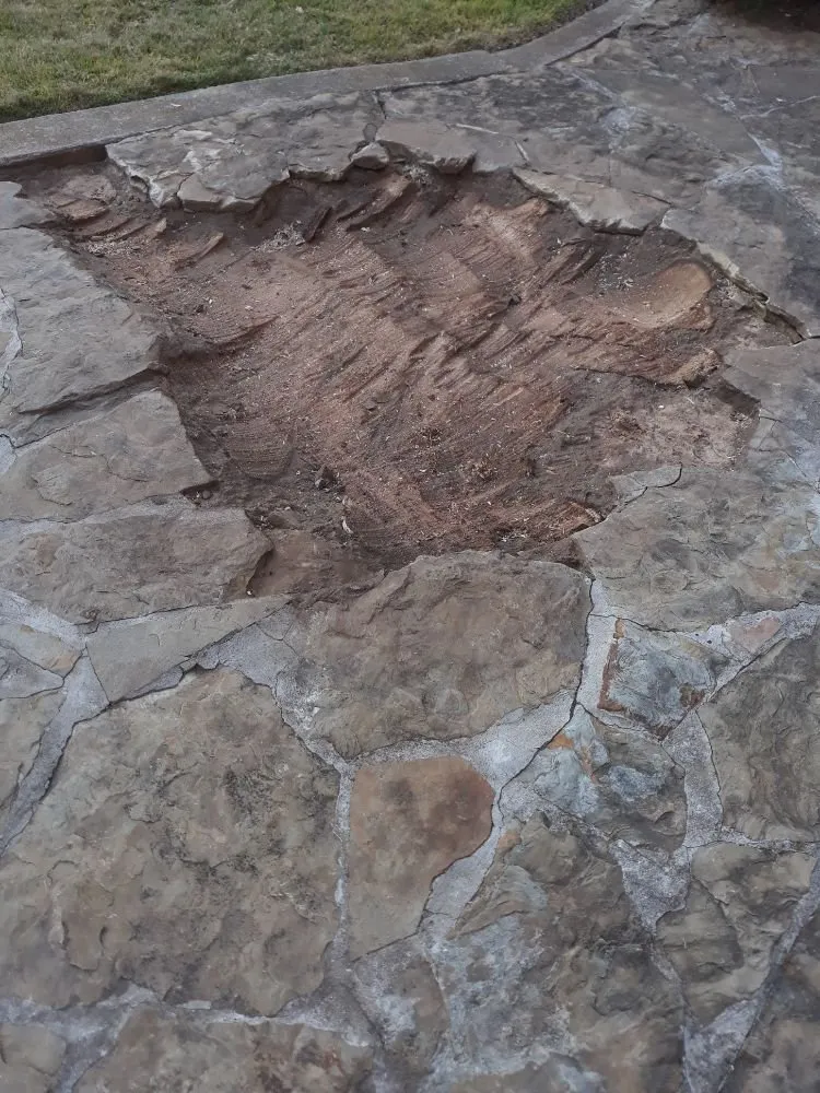 Expert yard cleanup service near you in Norman, OK by Green Essence