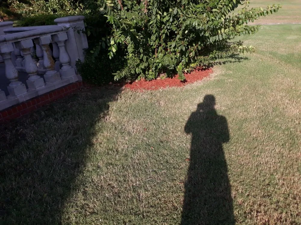 Professional residential landscaping experts serving Norman, OK - Green Essence