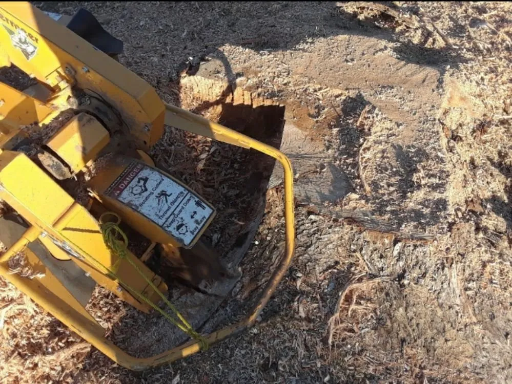 Expert lawn mowing service in Norman, OK - Green Essence