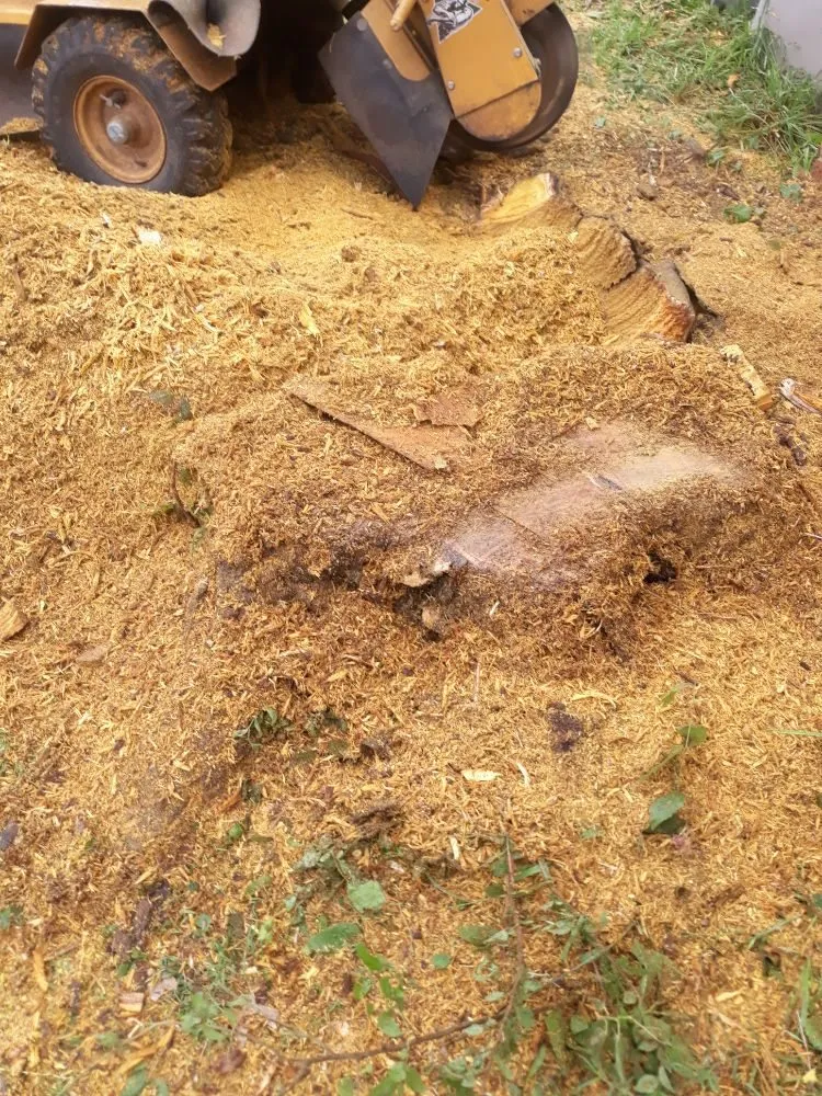 Reliable outdoor landscaping for homes across Norman, OK - Green Essence