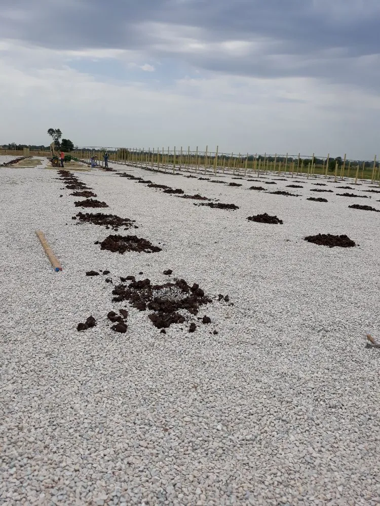 Expert landscape installation experts serving Norman, OK - Green Essence