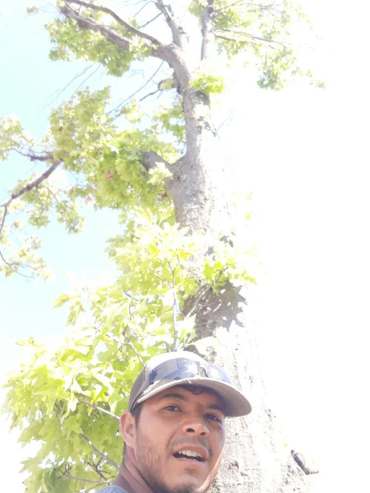 Custom landscape installation with custom design in Norman, OK by Green Essence