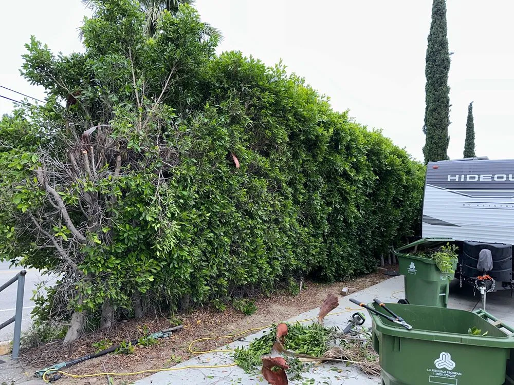 Expert outdoor landscaping in Mission Hills, CA - Green Essence Tree and Landscape
