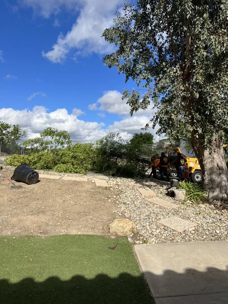 Affordable lawn mowing service for beautiful yards across Mission Hills, CA - Green Essence Tree and Landscape