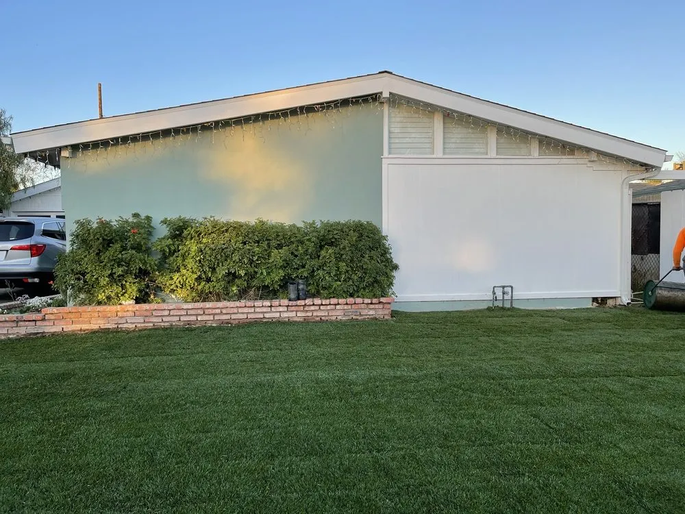 Affordable yard cleanup service for year-round maintenance across Mission Hills, CA - Green Essence Tree and Landscape