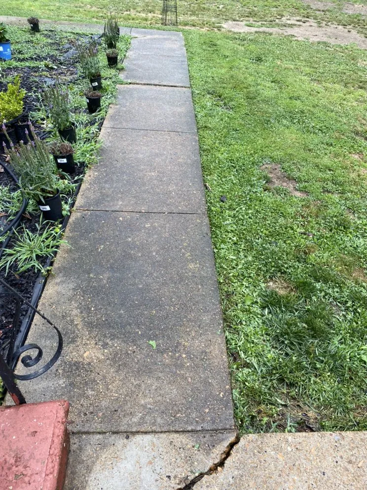 Local lawn mowing service experts serving Florence, AL - Green Estate