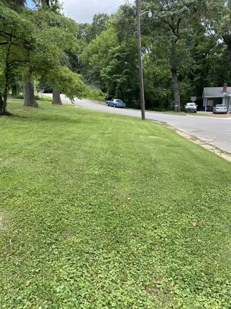 Top-rated landscape design experts serving Florence, AL - Green Estate