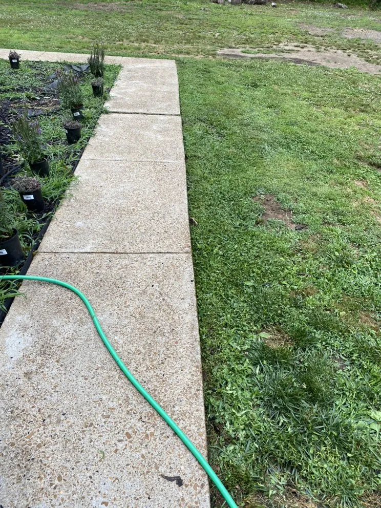 Top-rated residential landscaping in Florence, AL by Green Estate