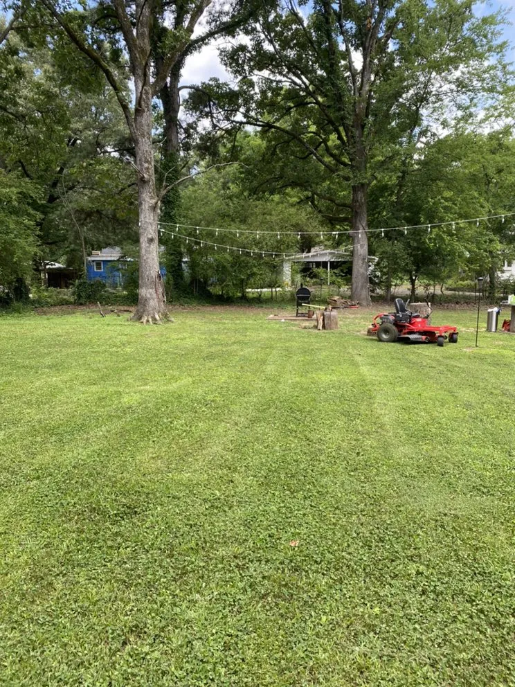 Affordable yard maintenance in Florence, AL by Green Estate