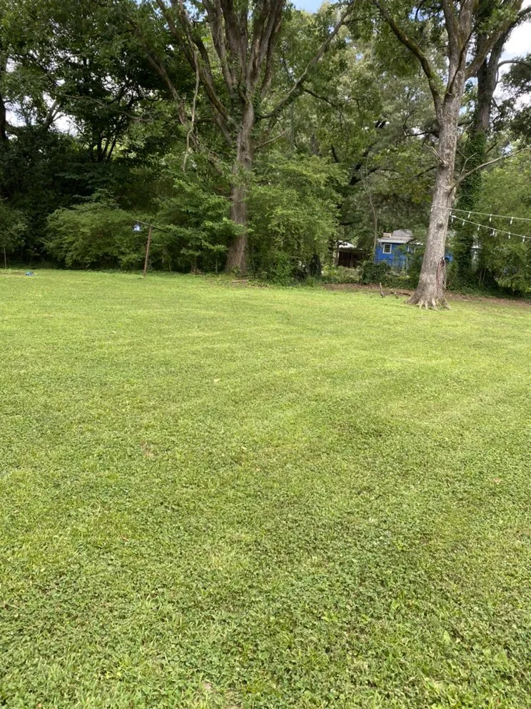 Professional lawn care service for year-round maintenance across Florence, AL - Green Estate