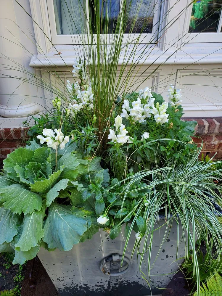 Expert landscape design experts serving Richmond, VA - Green Estates Landscape & Garden