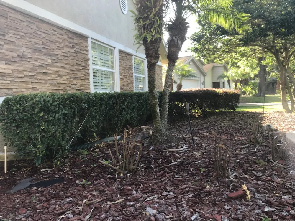 Custom landscaping services in Lutz, FL - Green Estates Lawn and Garden Services