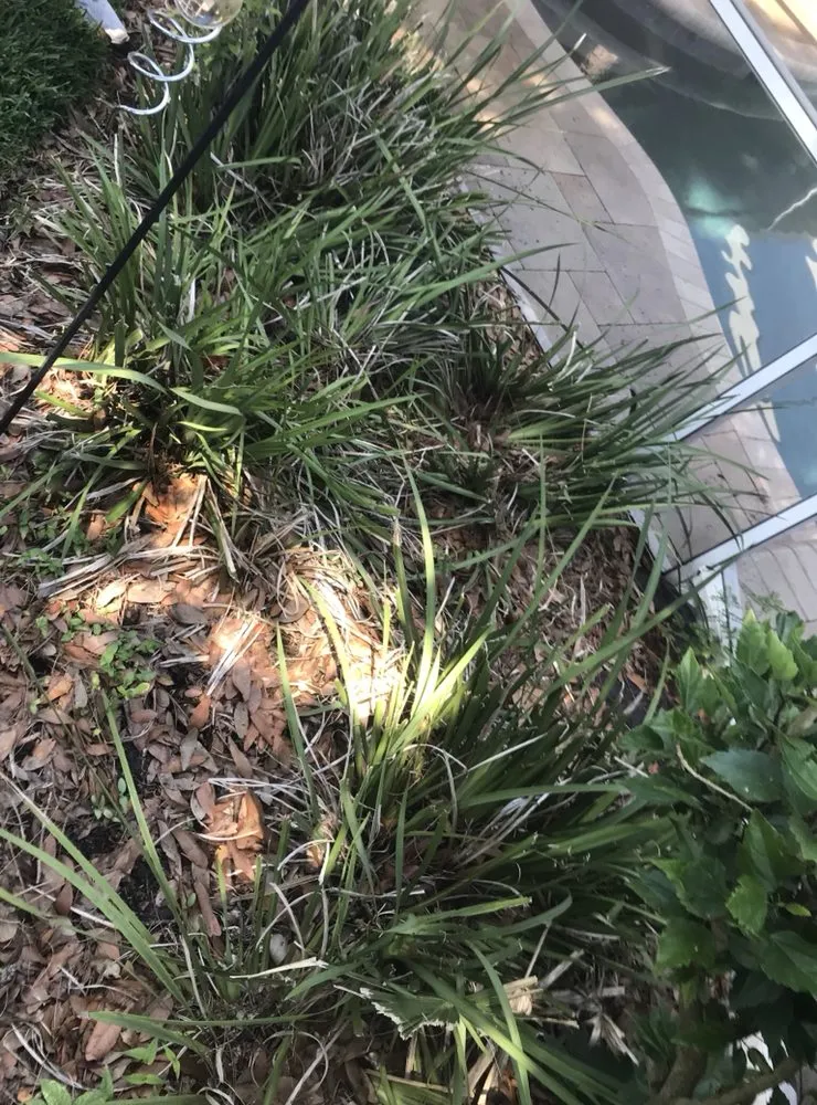 Custom landscape design in Lutz, FL by Green Estates Lawn and Garden Services