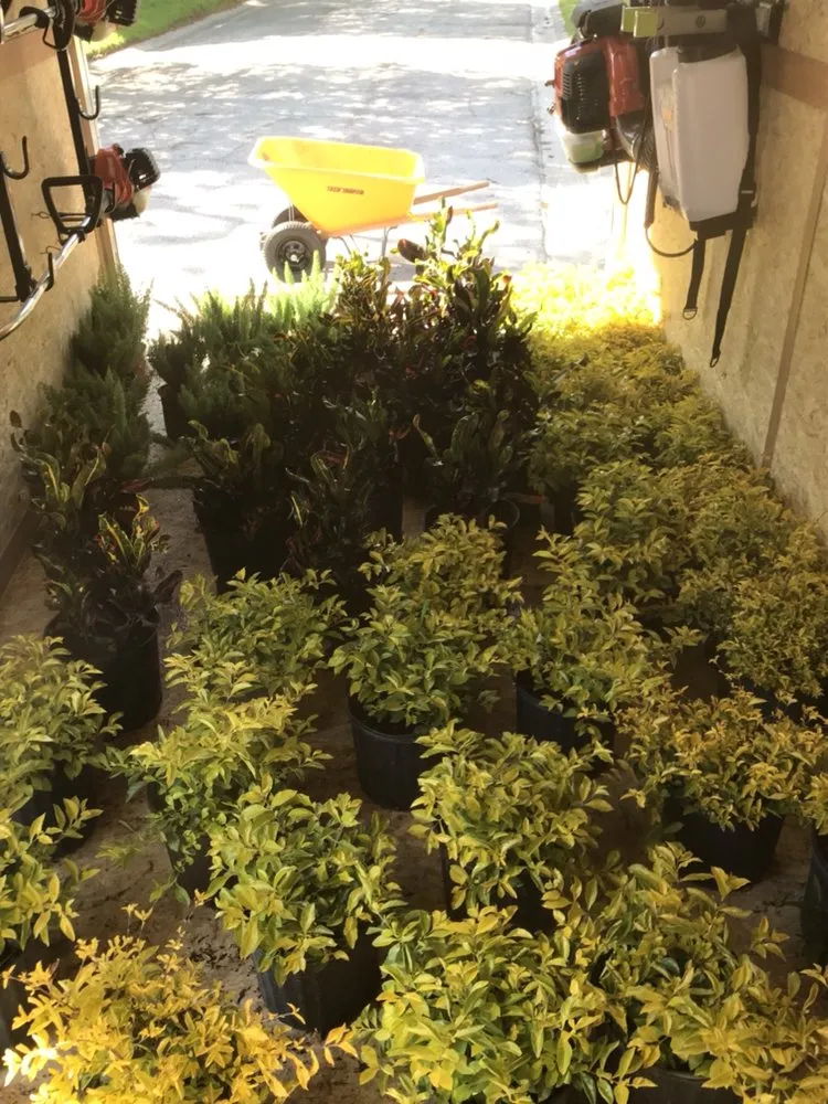 Trusted landscape installation in Lutz, FL - Green Estates Lawn and Garden Services