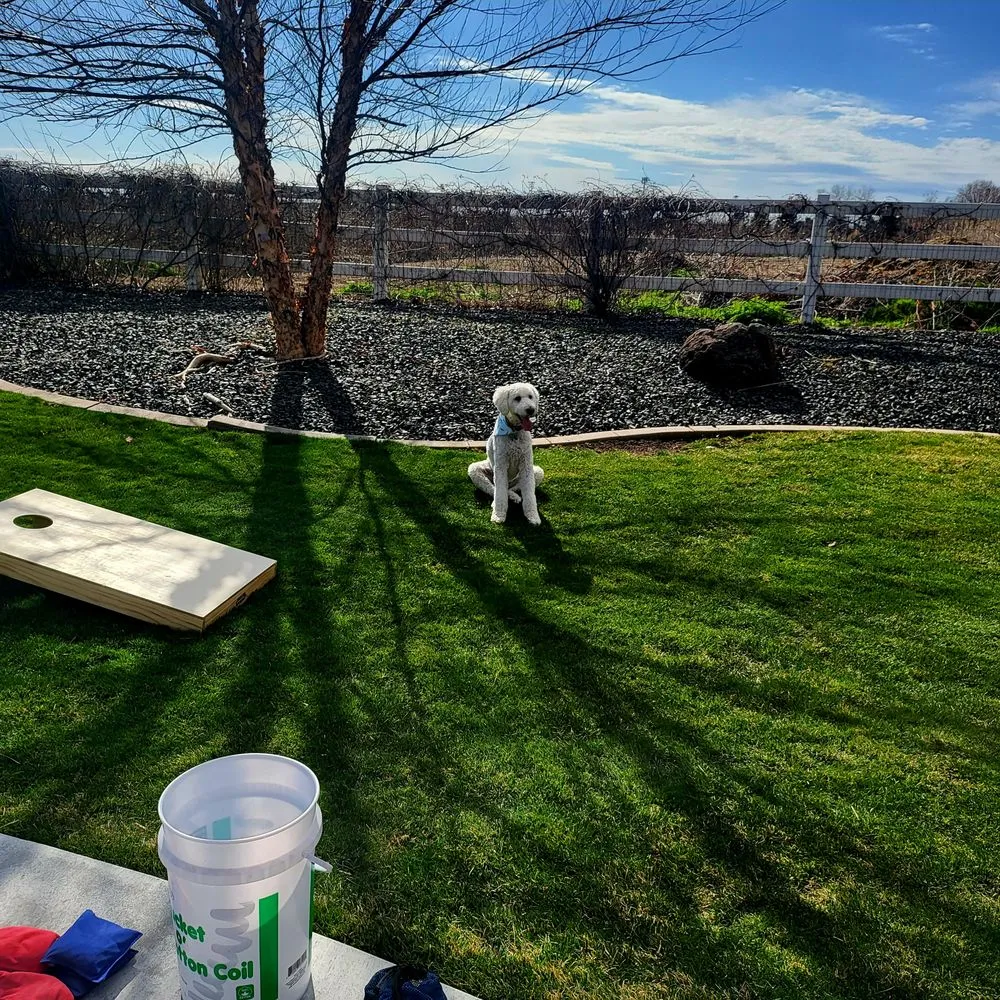 Local landscape installation in Boise, ID by Green Estates Lawn Care