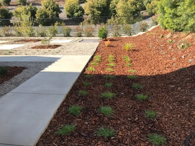 Professional yard maintenance for beautiful yards across Oceanside, CA - Green Expressions Landscape