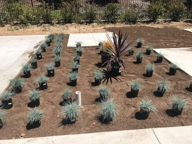 Professional landscaping services for outdoor upgrades in Oceanside, CA by Green Expressions Landscape
