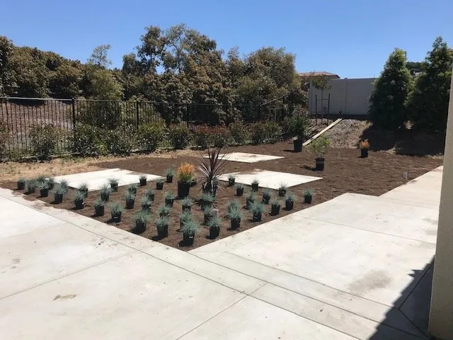 Affordable yard cleanup service in Oceanside, CA - Green Expressions Landscape