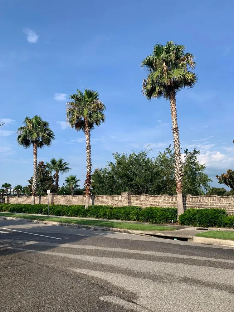 Custom landscaping services for beautiful yards in Clermont, FL by Green Fades