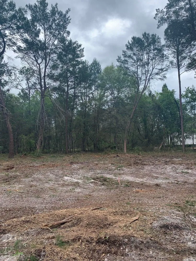 Reliable yard maintenance for beautiful yards in Clermont, FL by Green Fades