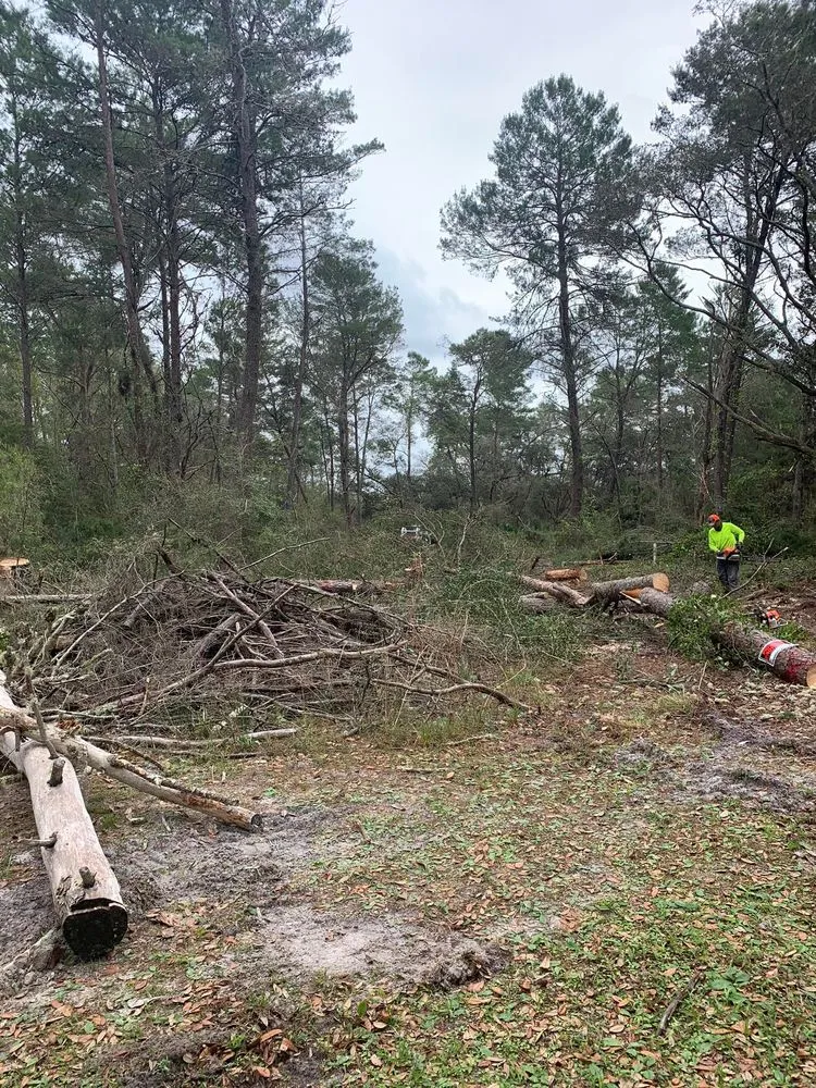 Local landscape design experts serving Clermont, FL - Green Fades