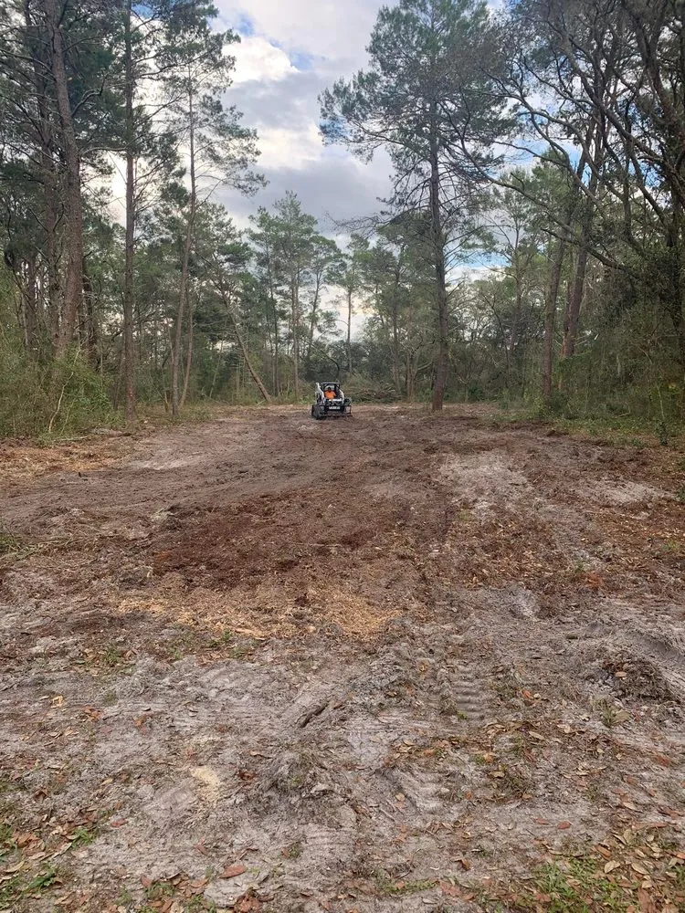 Trusted lawn care service in Clermont, FL - Green Fades