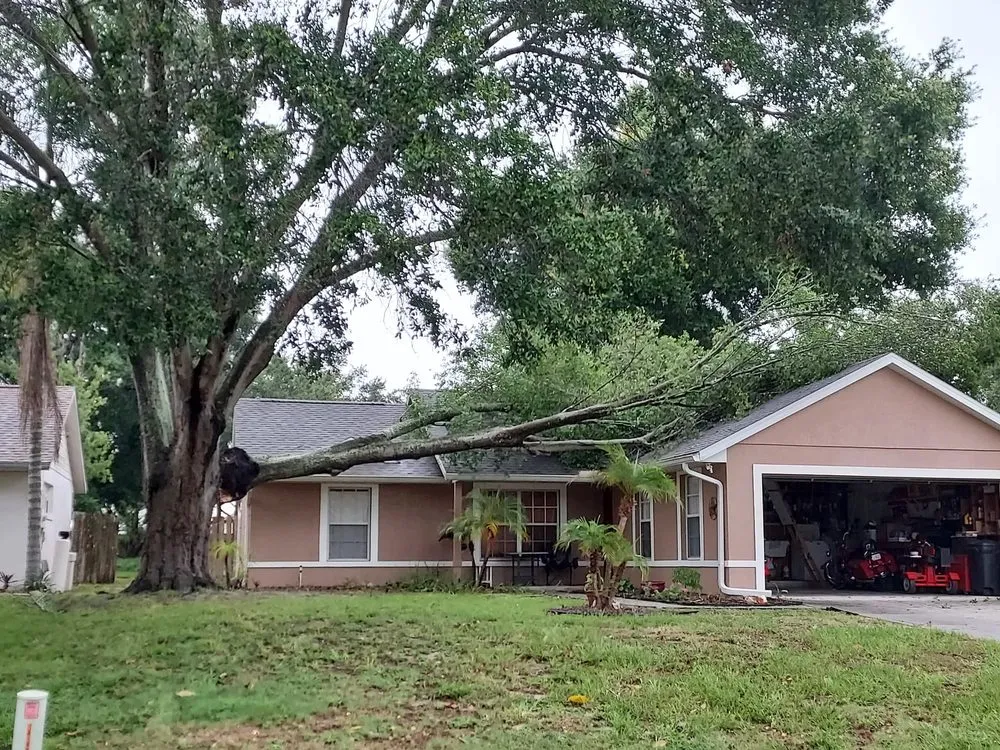 Affordable lawn care service for outdoor upgrades across Clermont, FL - Green Fades
