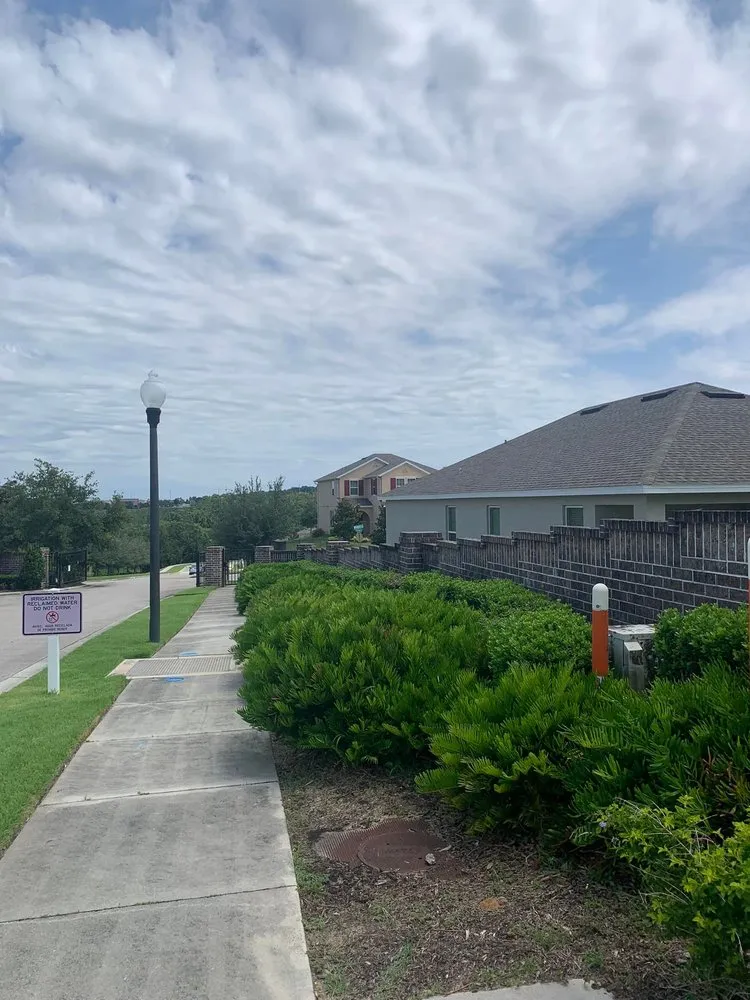 Professional yard maintenance in Clermont, FL - Green Fades